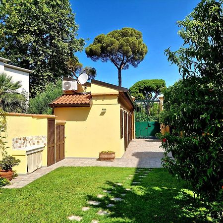 Serra Di Mare Casa Con Giardino Livorno Ngoại thất bức ảnh