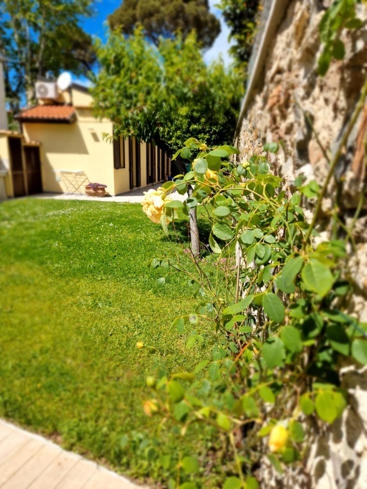 Serra Di Mare Casa Con Giardino Livorno Ngoại thất bức ảnh